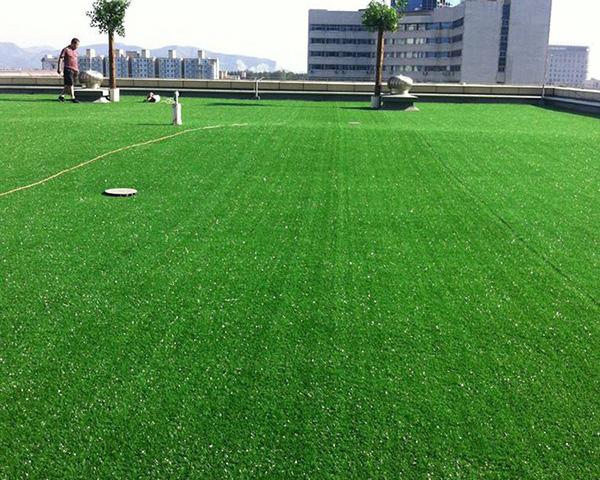 四川人造草坪 四川人造草坪